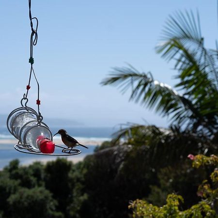 Room With A View Plettenberg Bay Exterior photo